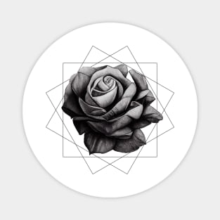 Rose Flower over a Geometric Pattern || Pencil Sketch Magnet